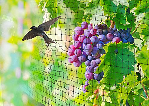 Garden Netting Kit: Heavy Duty Bird Netting: image 3
